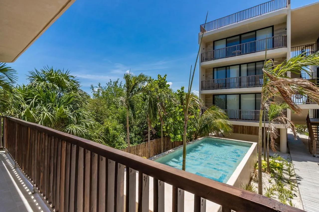 Beautiful Loft Steps From The Beach In Punta Cocos - D101 Holbox