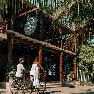 Macondo Isla Holbox